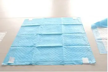 Factory price good quality Disposable Pads in Germany